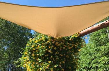 Dom w Sąpach - Foto 13