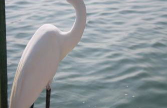 By the Beach Rentals - Photo 14