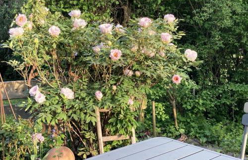 Haus am See - Foto 35