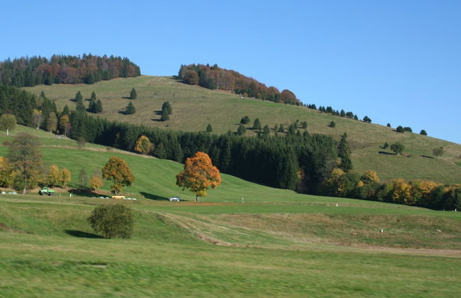 Apartment for 2 Adults & 2 Children near Ski Resort in Black Forest - Foto 30