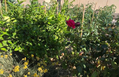 Garden apartman Split - Foto 34