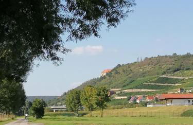 Weinberghaus - Wohnen im Weinberg in der Toskana des Nordens - Foto 30
