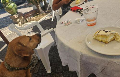 Amici di Villa Point Intera Villa - Foto 63