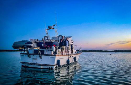 Motor Yacht Sea Wolf - Foto 18