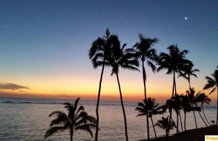 Amazing Beachfront Condo by Pool - Foto 31