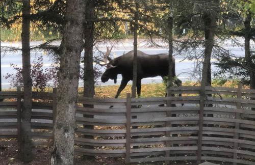 Fireweed Gardens in Roger’s Park - Photo 10