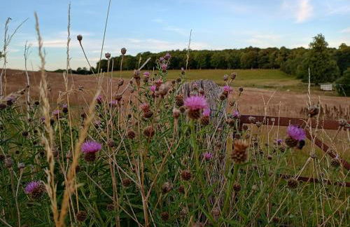 The Stables at Eriviat Hall - Foto 70
