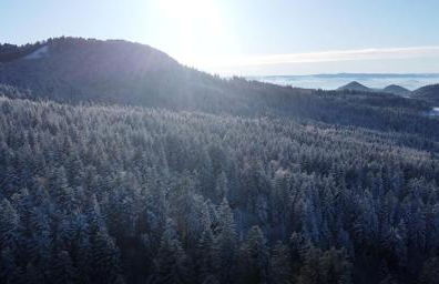 Wood log chalet - Foto 33