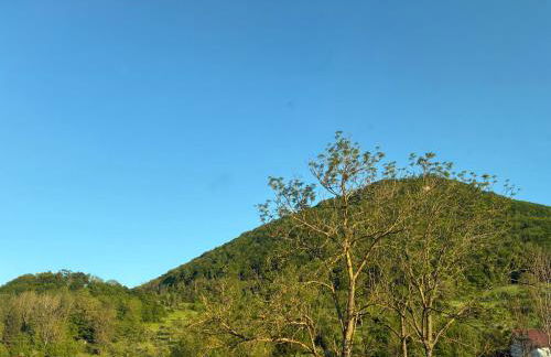 Vidi Apartments Felsen Blick - Foto 10