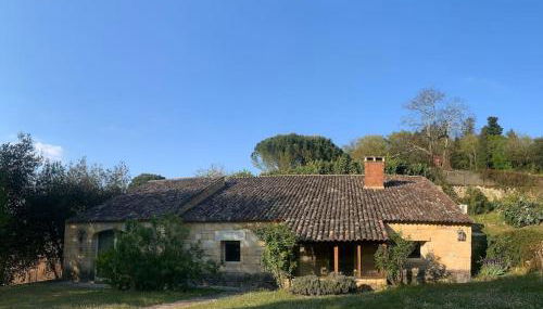 DREAM HOUSE in front of CHATEAU DE BEYNAC in Perigord , Dordogne - Foto 5, Garden, Garden view