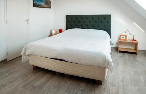 Tipoz'Immo - Belle Bretagne piscine chauffée - proche de la mer - wifi inclus - linge inclus et lits faits - jardin clos - animaux bienvenus - proche des commerces et des attractions touristiques - Foto 47