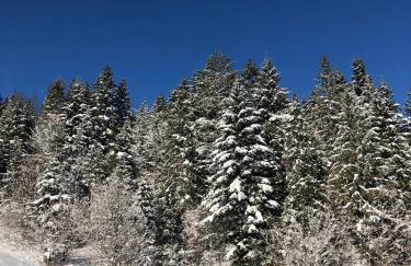 Na Świerkowym Strychu - Photo 7