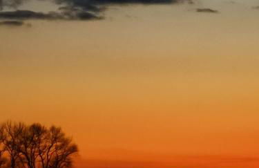 Reet Landhaus Rügen - Foto 7