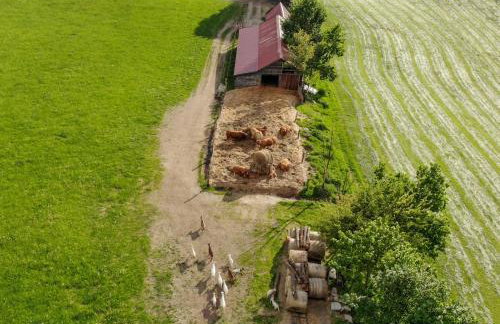 Dylewianka - Foto 43