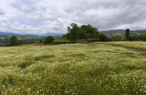Casa do Cabo - Foto 21