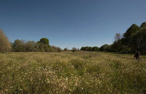 SAQA Organic Farm - Foto 29