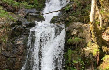 Haus am Sonnenberg,Todtnauberg, Ferienwohnung 105, direkt am Skilift-Skipiste, Nähe Feldberg - Foto 21