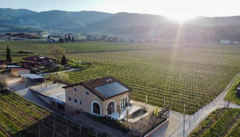 Agriturismo Igino - Relax fra i Vigneti della Valpolicella - Foto 4