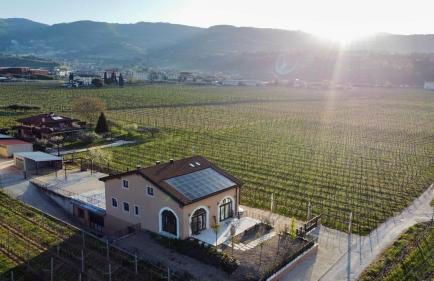 Agriturismo Igino - Relax fra i Vigneti della Valpolicella - Foto 4