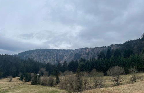 Appartement 11 - Au cœur du Lac Blanc - Foto 8