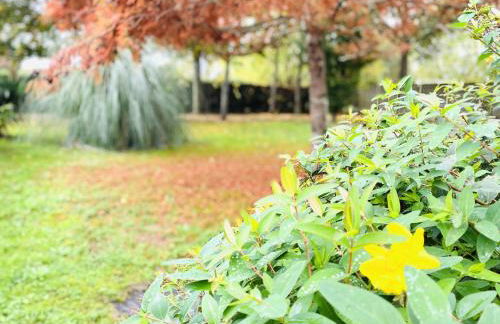 Domaine de la Ronce - Foto 33