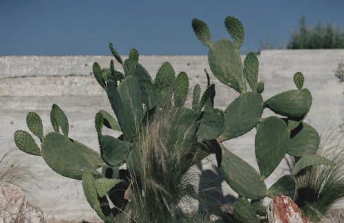 Inspiration House - Foto 51