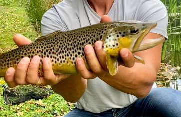 Leśniczówka domek balia sauna jeziorka w lesie na wyłączność - Foto 24