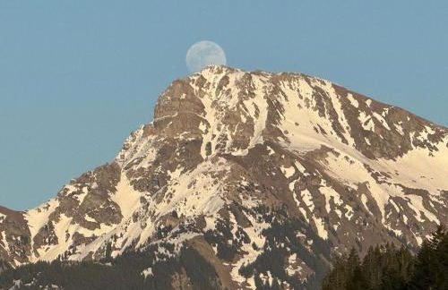 2-bed appt 20 mins from Morzine Portes du Soleil French Alps - Foto 55