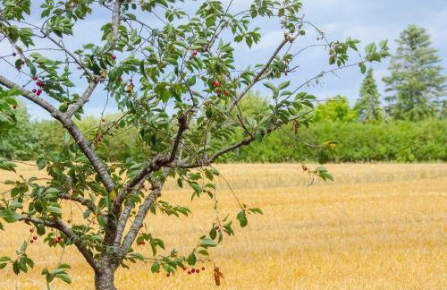 AHOI-MARIE - Foto 25