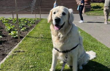 In the Heart of Haight Ashbury 5 Bedroom House - Foto 54