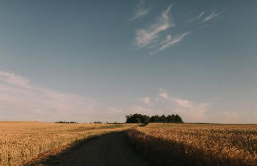 Poganty - Jałownik - Foto 18