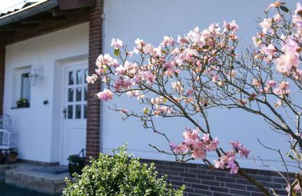 Ferienhaus Dornröschen - Foto 2