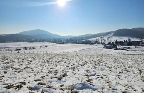 Lawendowy Raj - Foto 66