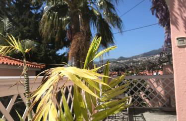 Casa do Poço Funchal - Foto 48