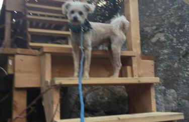 Shirley Creek Retreat: a Mountain Oasis - Foto 24