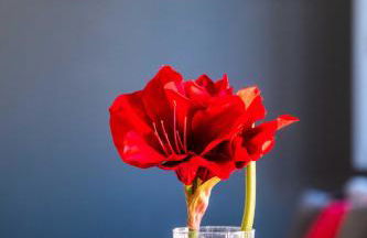 Spacious Penthouse with Massive Terrace - Photo 8