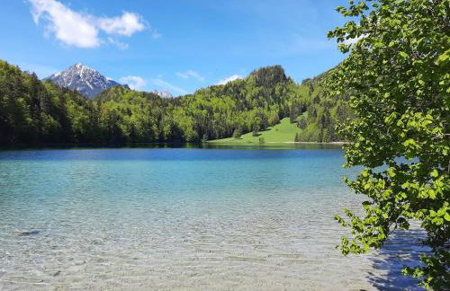 Gästehaus Poppler - Foto 14