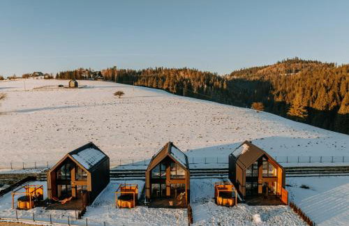 Stodoły z Widokiem na Tatry - Foto 37