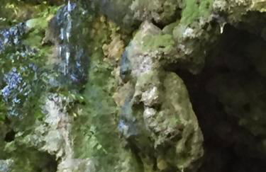 La Fusteria del Casat - Foto 76