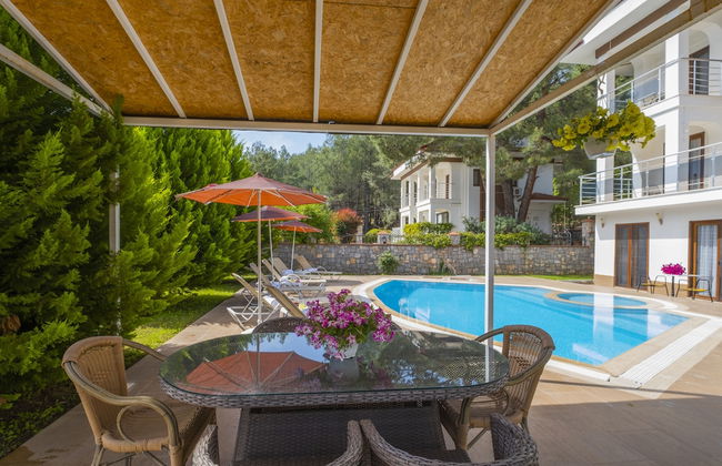 Infinity Olympia Villas - Photo 70