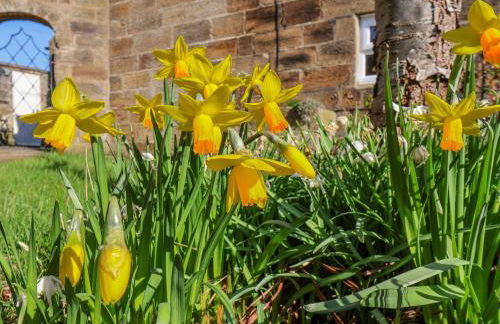 Holly Cottage - Photo 38