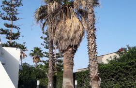 Villa NinniTina - Foto 5