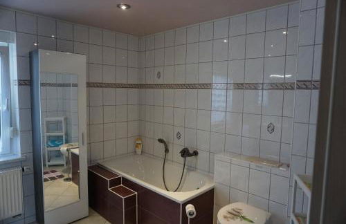 Am Sachsenstein - Zum Skispringer - Foto 16