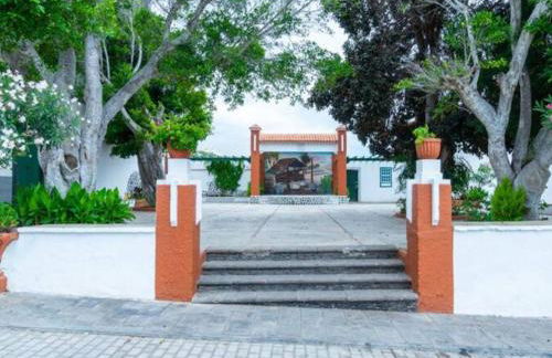 Live Arico Casa Abuela - Foto 22