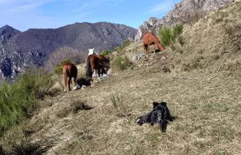 La Corona del Auteiro - Foto 79