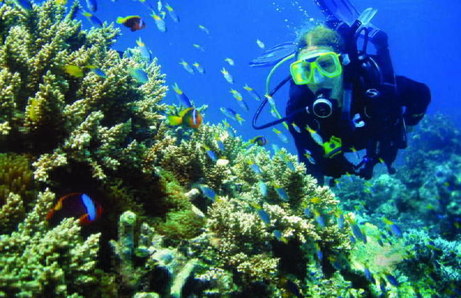 Grosvenor in Cairns - Foto 22