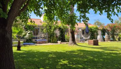 Monte das Aranhas - Foto 1, Garden view