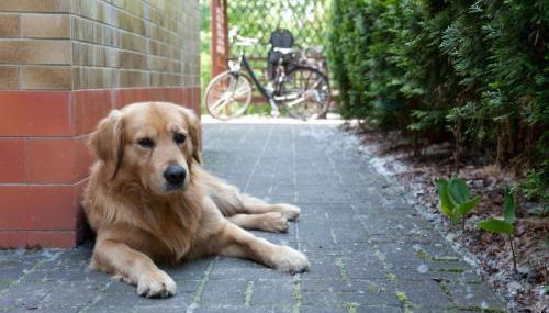 Holiday Home in Alt-Schadow mit Grill und Terrasse by Interhome - Photo 5