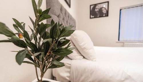 Camden Apartments 1 - Foto 2, Other