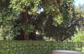 A l'ombre du chêne Piscine & Spa Gîtes Eden en Cévennes à Anduze Gard - Foto 49